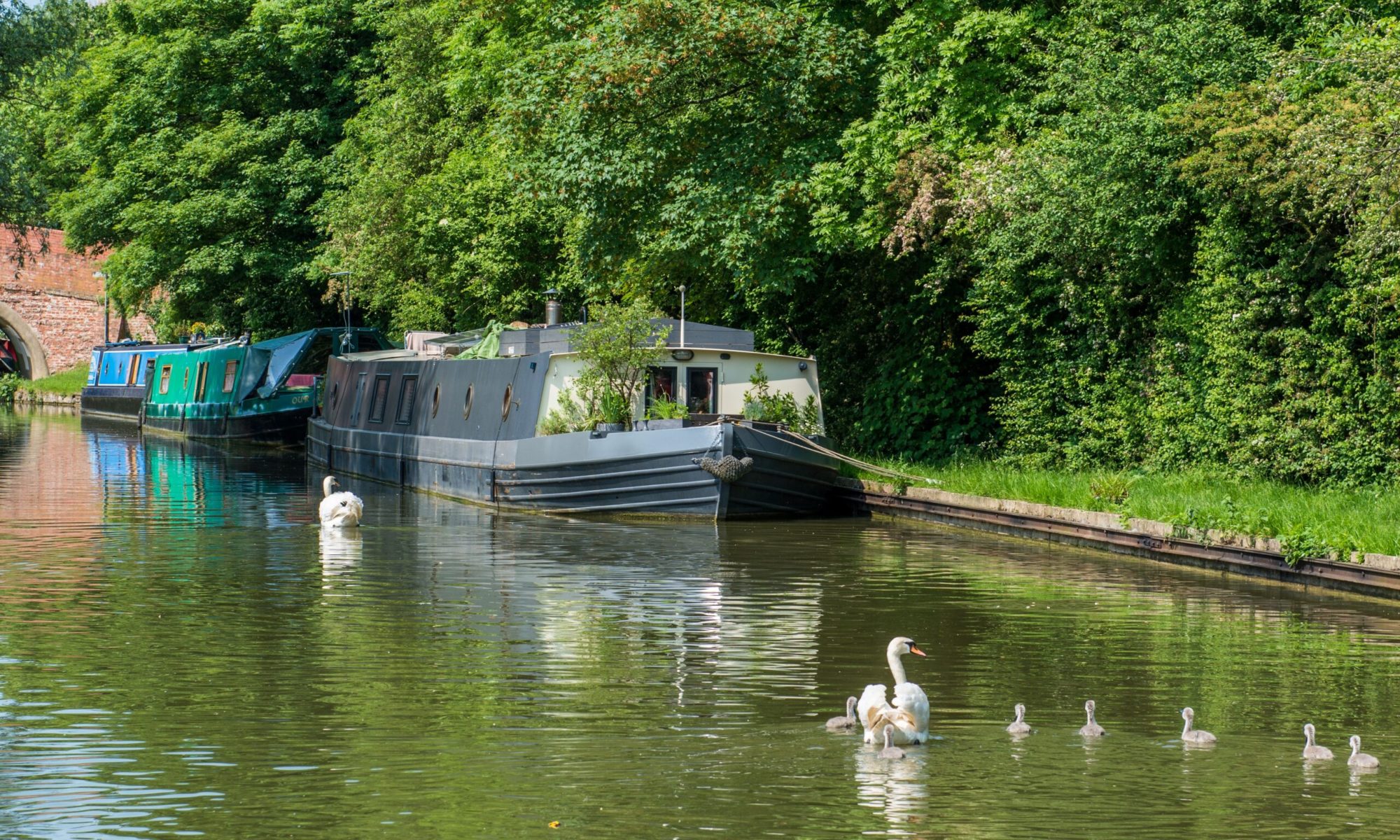 GettyImages-585192454-resize